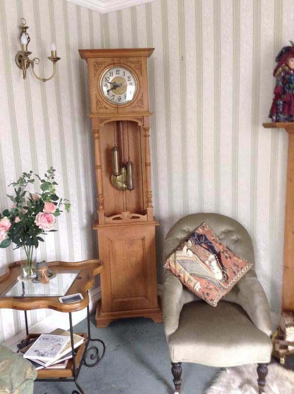 Frondderw Country House Bed & Breakfast Bala Eksteriør bilde