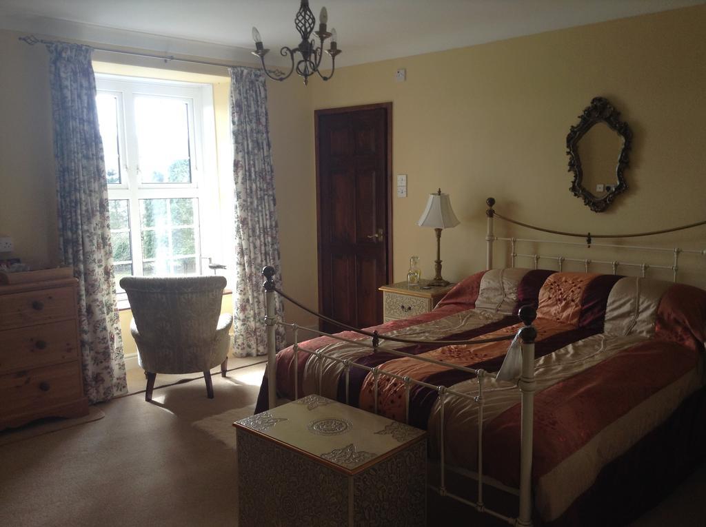 Frondderw Country House Bed & Breakfast Bala Eksteriør bilde