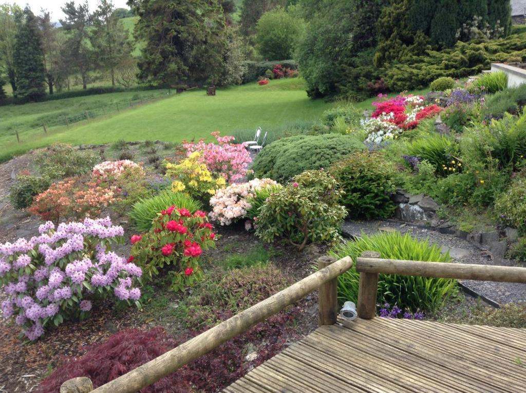 Frondderw Country House Bed & Breakfast Bala Eksteriør bilde